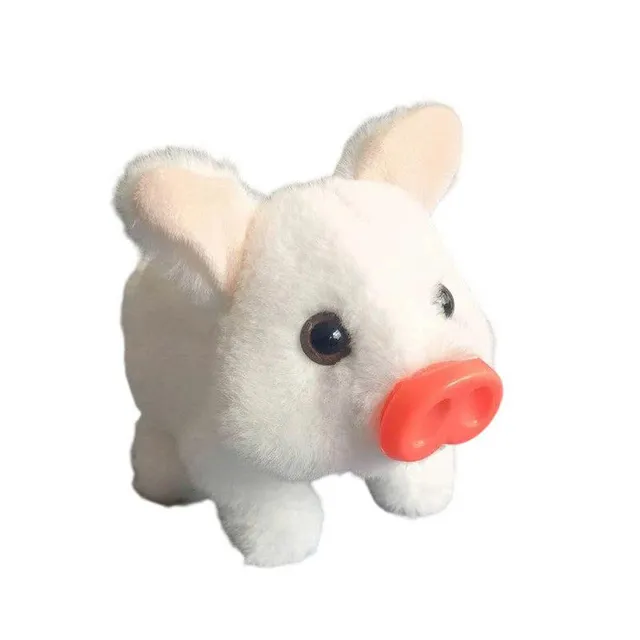 /690aeb4d5ff0340008cbadc1/2025/11/06/product-img-690cb12170bd325c841f554e.png